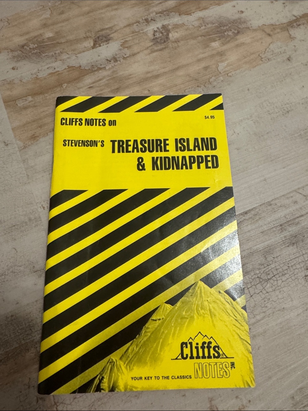 CliffsNotes on Stevenson’s Treasure Island & Kidnapped - Yellow & Black